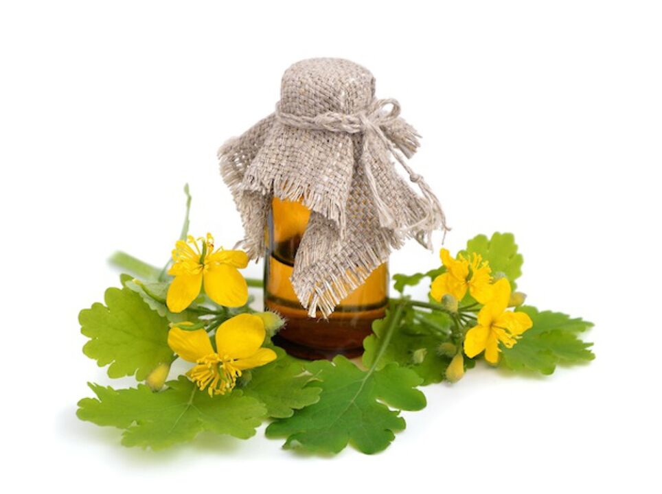 Chelidonium Infusion for Foot Fungus Treatment